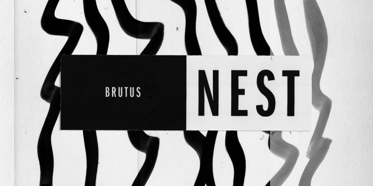 Brutus Nest Chronique