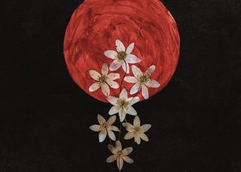 swallow the sun moonflowers