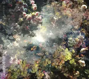 Pochette de We Could Have Been Radiant
