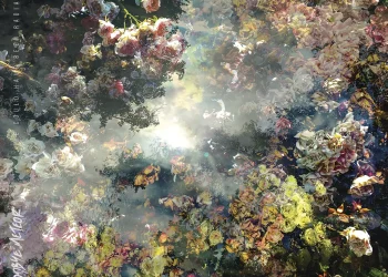 [Chronique] Goodbye Meteor – We Could Have Been Radiant