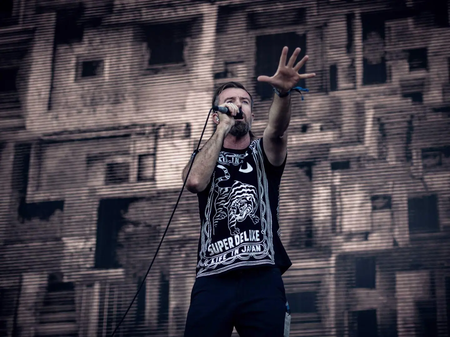 Karnivool