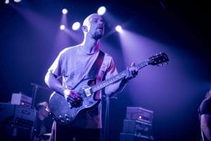 Elephant Tree Live Report