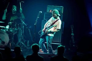 Elephant Tree Live Report