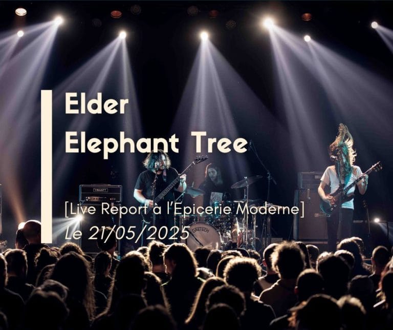 Elder + Elephant Tree, L'Epicerie Moderne, Feyzin, photo de concert Noise Injection