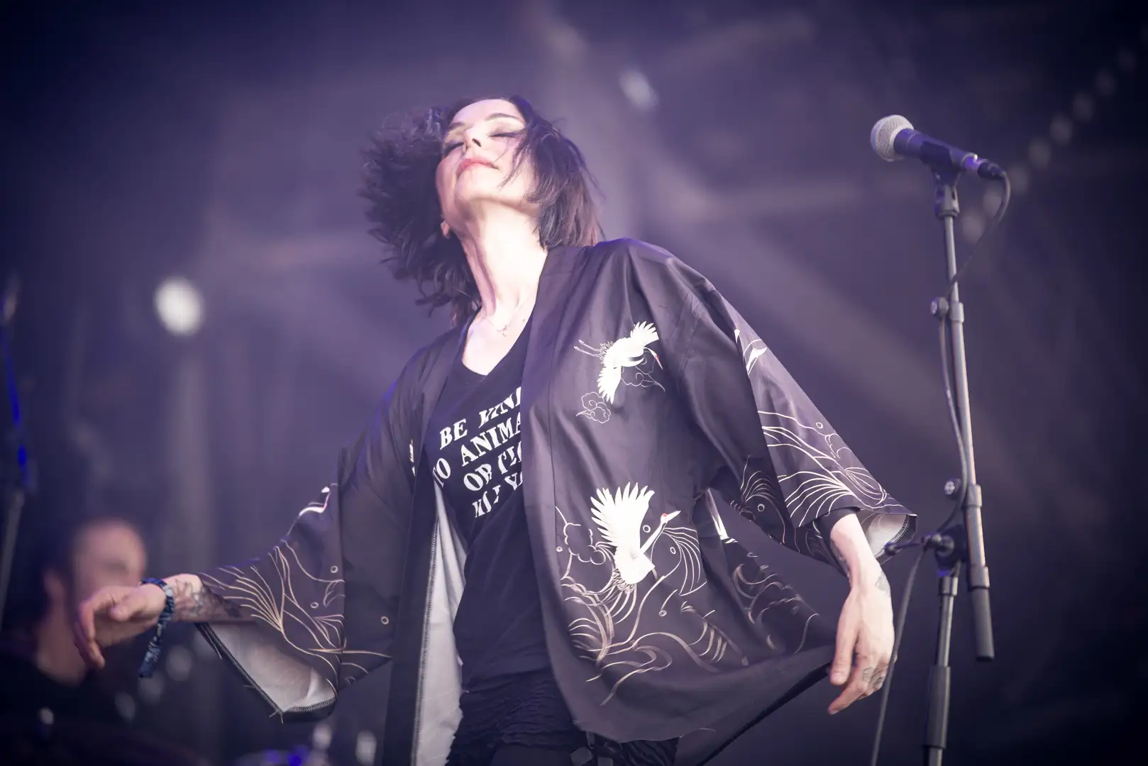 Crippled Black Phoenix 5 Hellfest