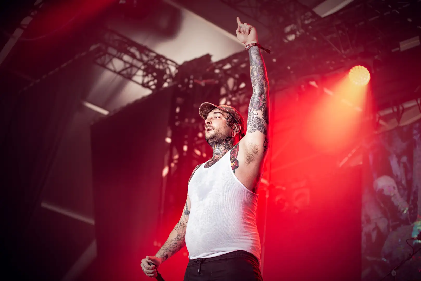 Signs of the Swarm 1 Hellfest