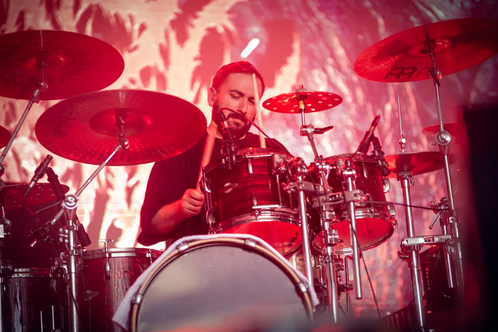 Signs of the Swarm 3 Hellfest