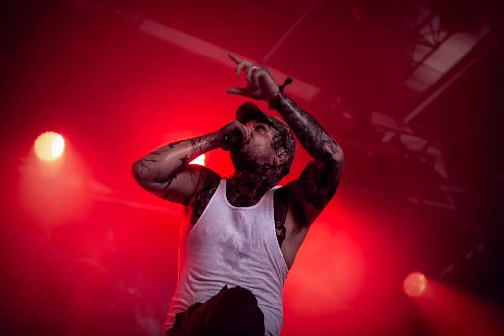 Signs of the Swarm en concert
