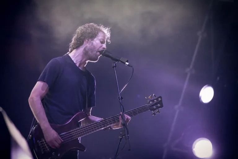 Vola en concert, photo Noise Injection