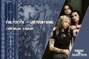 Pochette de Labyrinthine