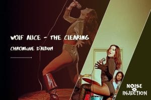 Pochette de The Clearing