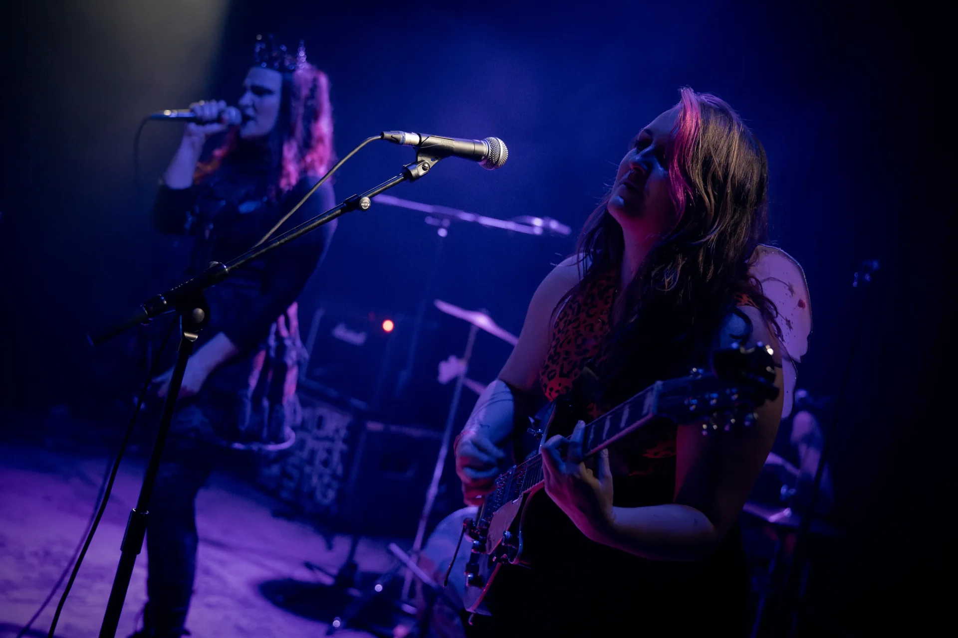 50 nuances de punk Toi Toi-22