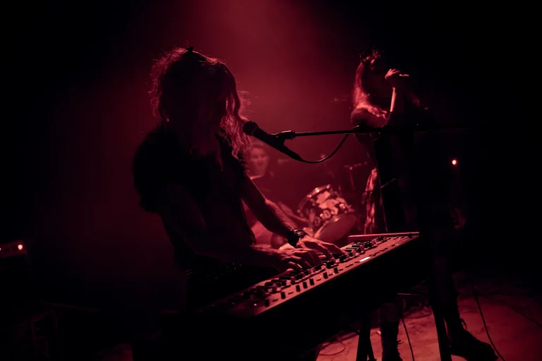 P.E.R.F en concert, photo Noise Injection