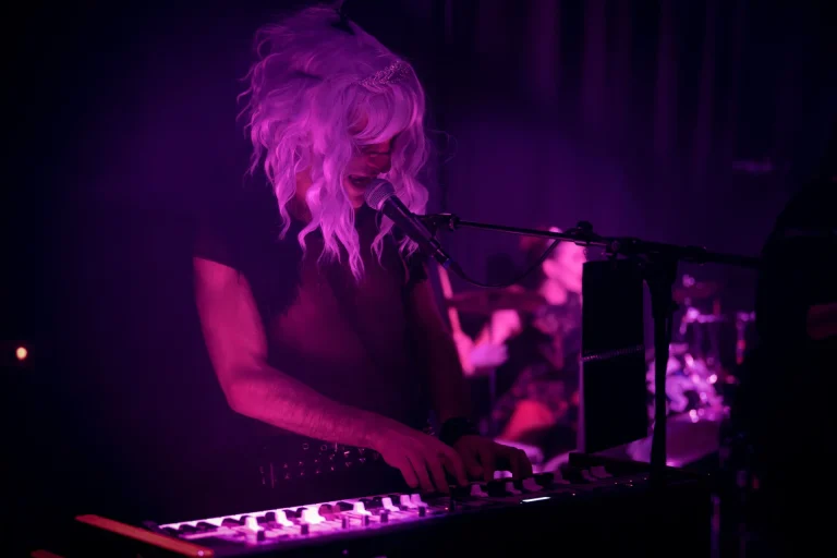P.E.R.F en concert, photo Noise Injection