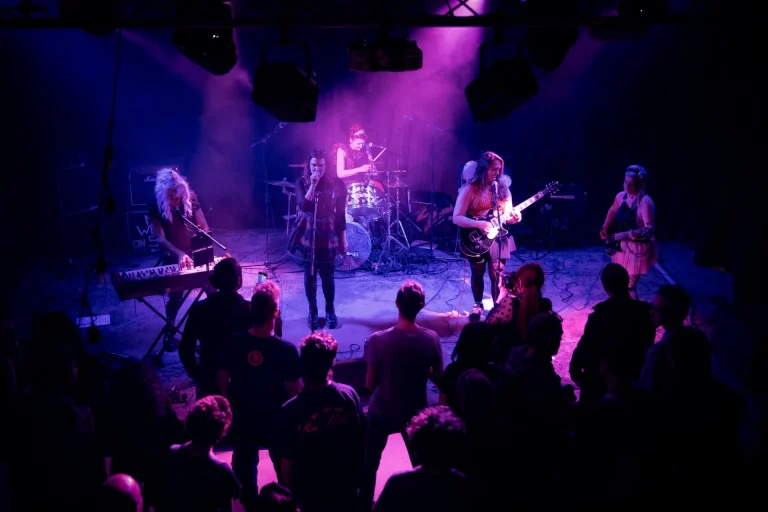 P.E.R.F en concert, photo Noise Injection