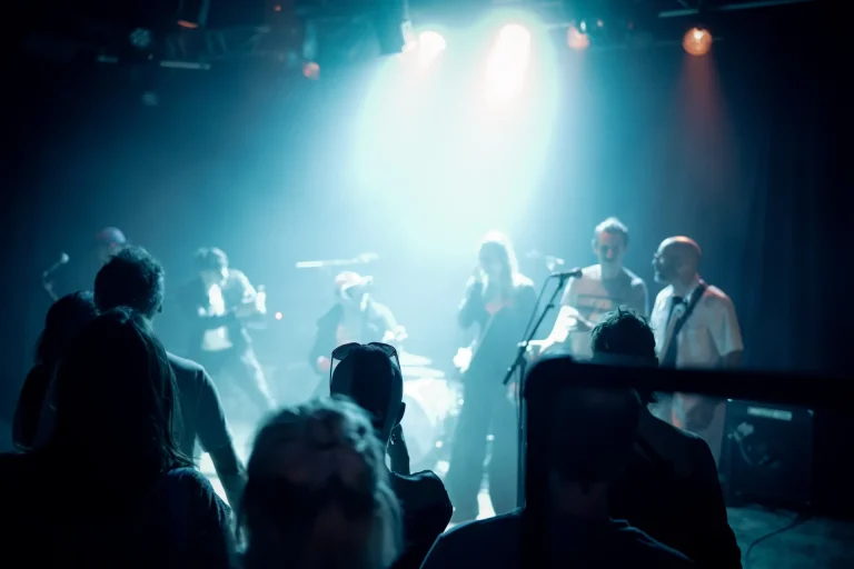 Gagner de l'Argent en concert, photo Noise Injection