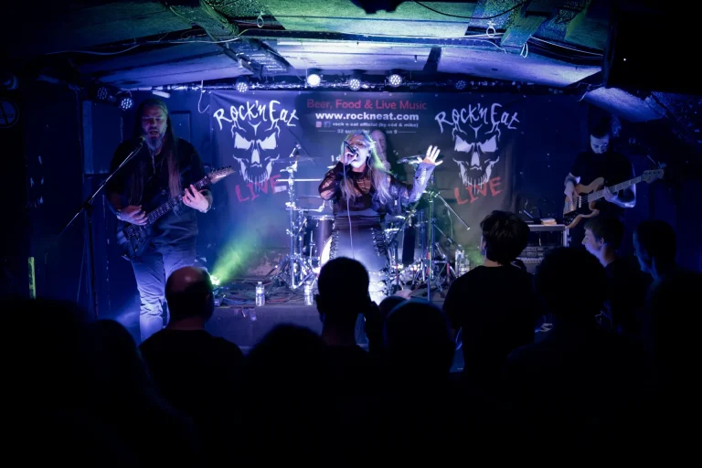 Wedingoth en concert, photo Noise Injection