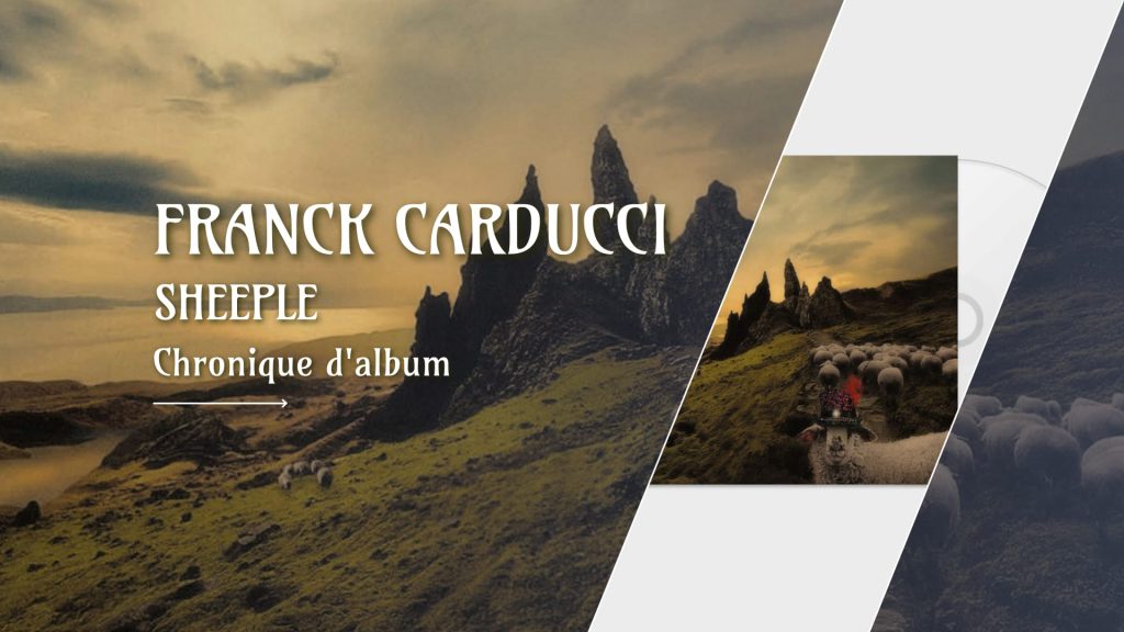Franck Carducci en concert