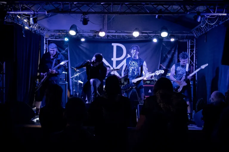 Sans Roi en concert, photo Noise Injection