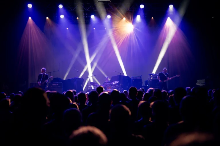 LizZard en concert, photo Noise Injection
