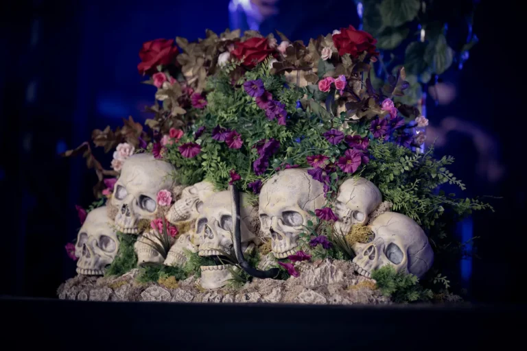 Impureza en concert, photo Noise Injection