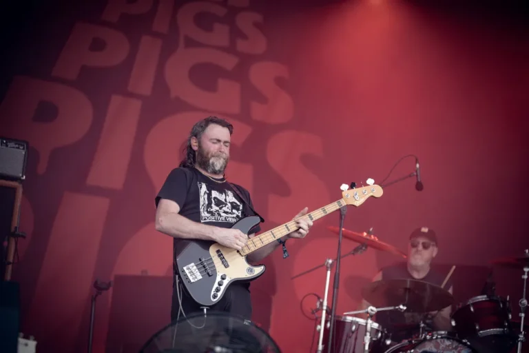 Pigs Pigs Pigs Pigs Pigs Pigs Pigs en concert, photo Noise Injection