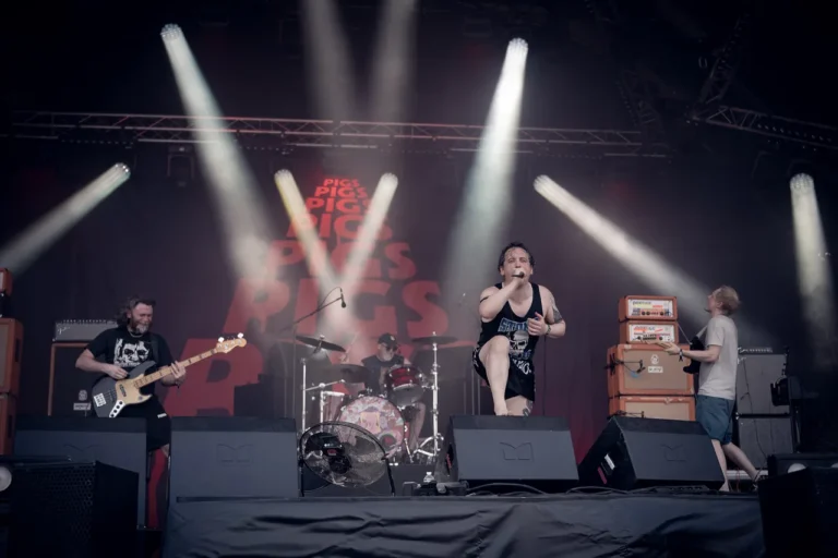 Pigs Pigs Pigs Pigs Pigs Pigs Pigs en concert, photo Noise Injection
