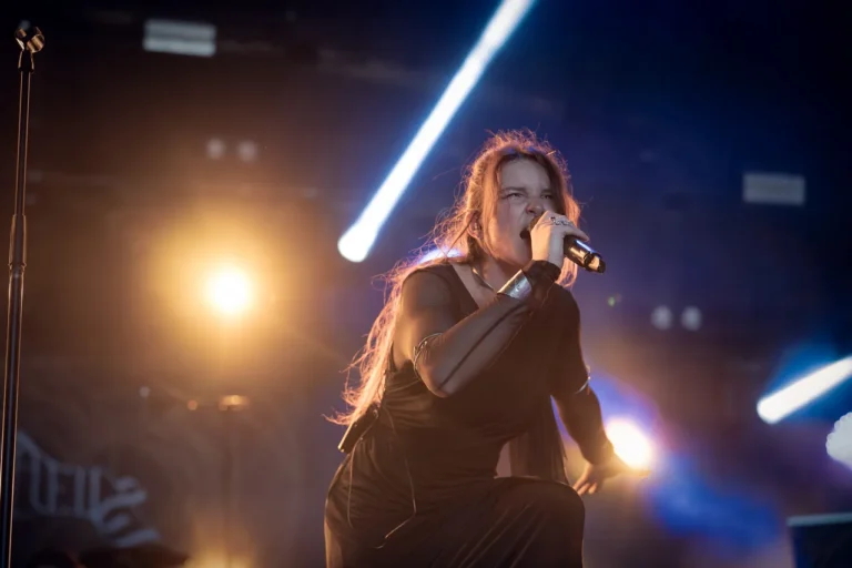 Silhouette en concert, photo Noise Injection