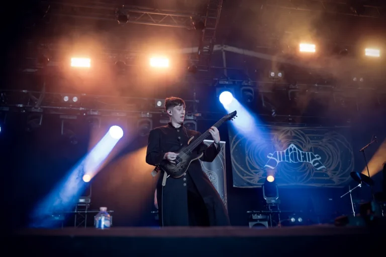 Silhouette en concert, photo Noise Injection
