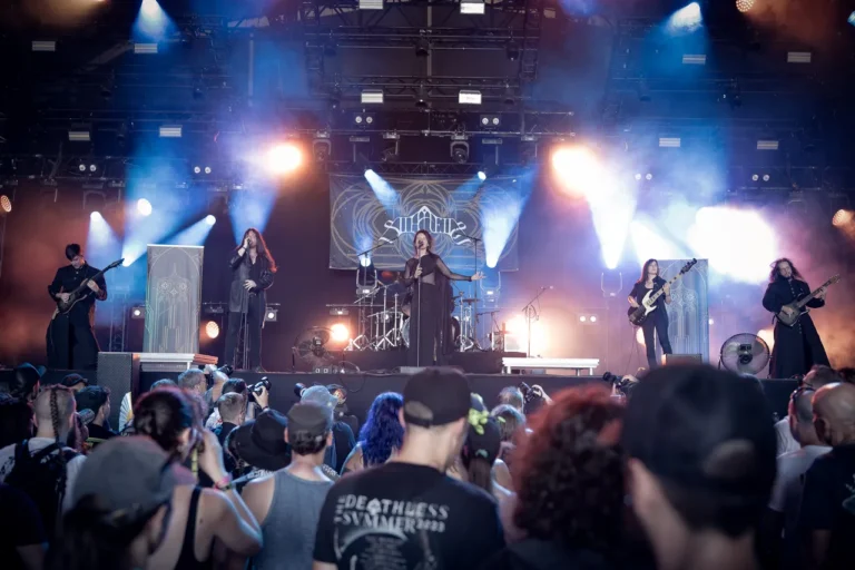 Silhouette en concert, photo Noise Injection