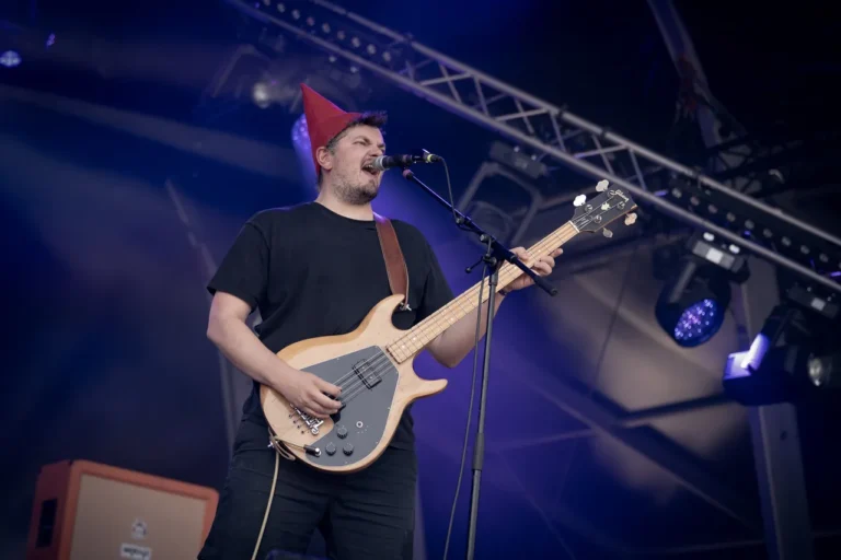 Gnome en concert, photo Noise Injection