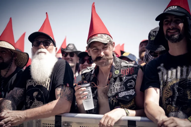 Gnome en concert, photo Noise Injection