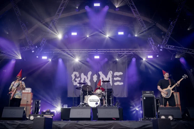 Gnome en concert, photo Noise Injection