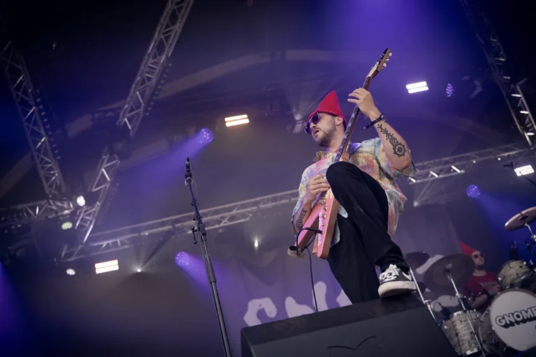 Gnome en concert, photo Noise Injection