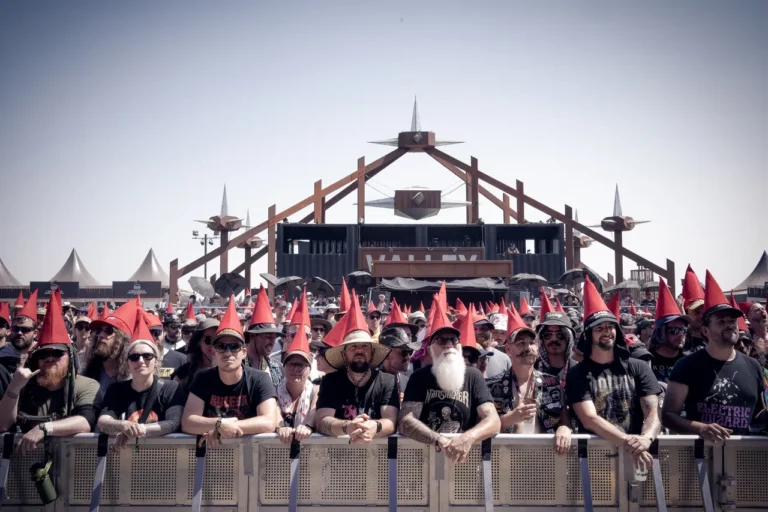 Gnome en concert, photo Noise Injection