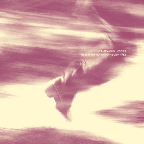 Pochette de In Between Strides de Bees Made Honey in the Vein Tree