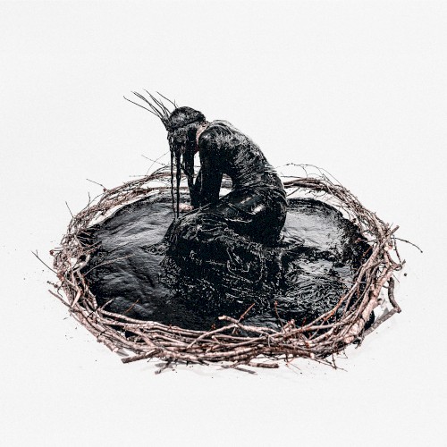 Pochette de Empty on the Inside de Entheos