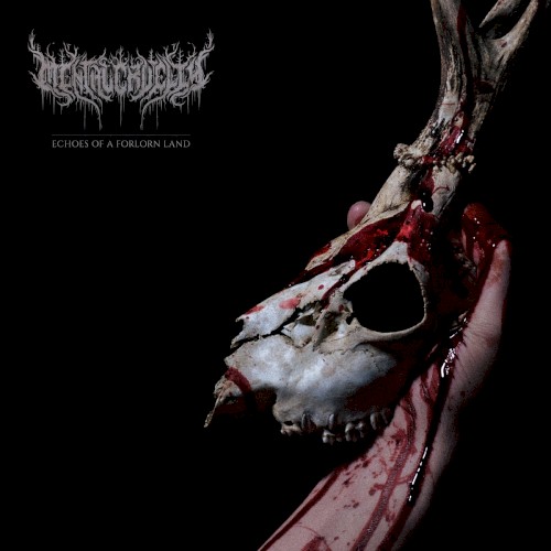 Pochette de Echoes of a Forlorn Land de Mental Cruelty