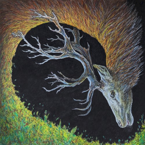 Pochette de Infangthief de Petrels