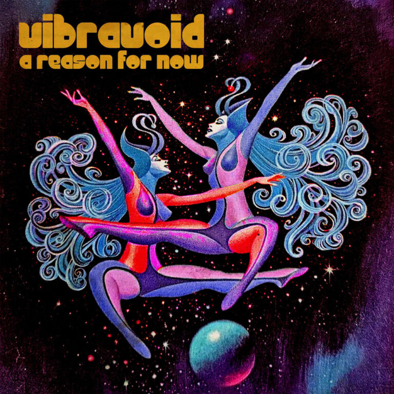Pochette de A Reason for Now de Vibravoid