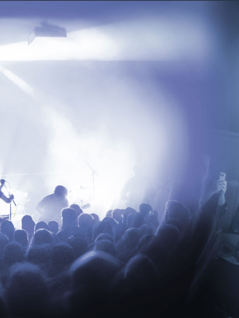 Hippotraktor en concert, photo Noise Injection