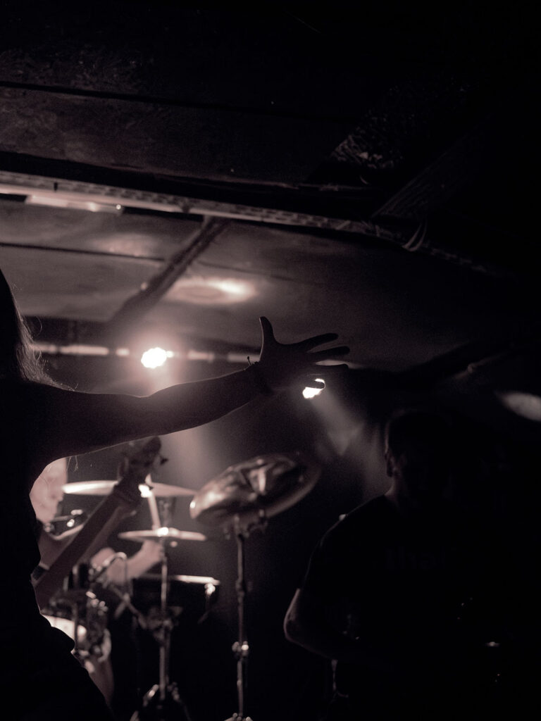 Buy Jupiter en concert, photo Noise Injection