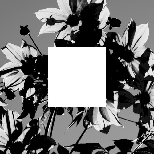Pochette de Portrait of Impulse de Mouse on the Keys