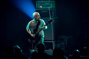 Elephant Tree Elephant Tree