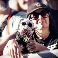 [Live Report] Hellfest 2025 – Out of Bounds @Clisson Rock City 17